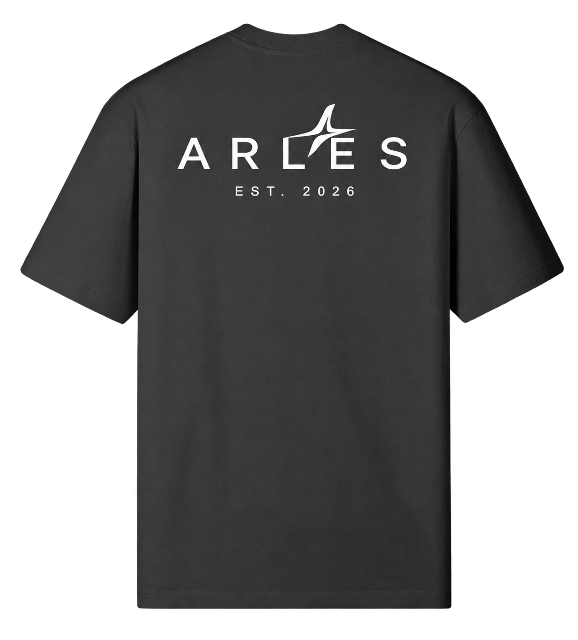 Sand-Washed Classic Tee in Black — back, ARLES EST. 2026 #color-black