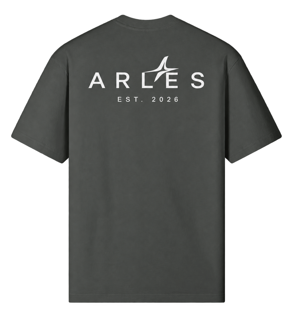 Sand-Washed Classic Tee in Carbon Gray — back, ARLES EST. 2026 #color-carbon-gray