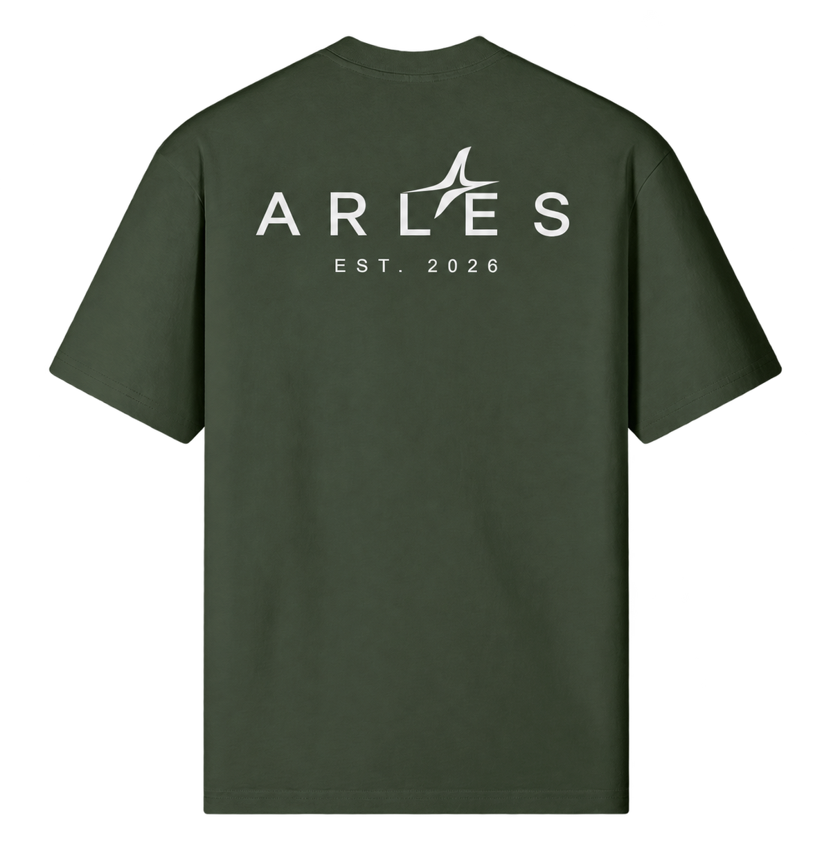Sand-Washed Classic Tee in Charcoal Smoke — back, ARLES EST. 2026 #color-charcoal-smoke
